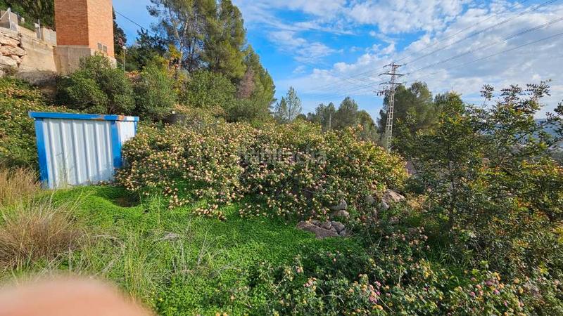 Foto 98ff1250-1d1c-434c-9cb2-2bea4ef6fcf5. Terreno residencial en corona la en Villalonga