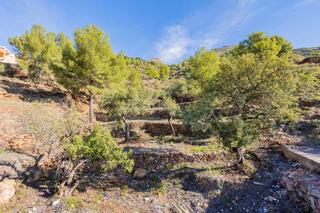 Casa  Romani 16. Estupendo terreno rústico para desarrollar actividades de turism