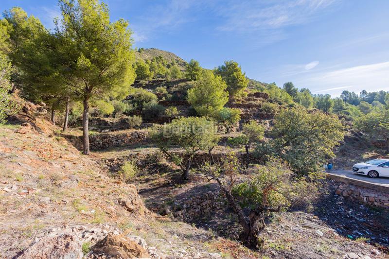Foto 6f53c6c4-4fed-4eea-ac08-bedeabb2f49d. Casa en romani 16 estupendo terreno rústico para desarrollar actividades de turismo y ecológico!! gran oportunidad!! en Chilches