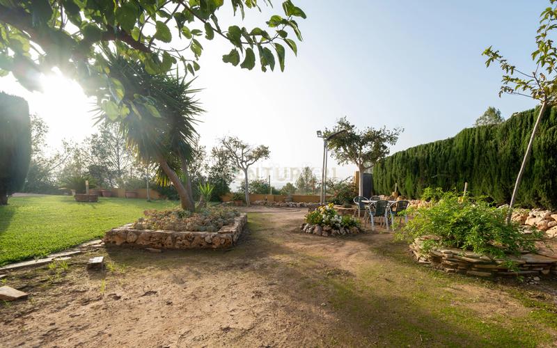 Foto da208f72-b5e7-4a90-a0ec-caa828dc1708. House in monte júcar 9 in Alberic