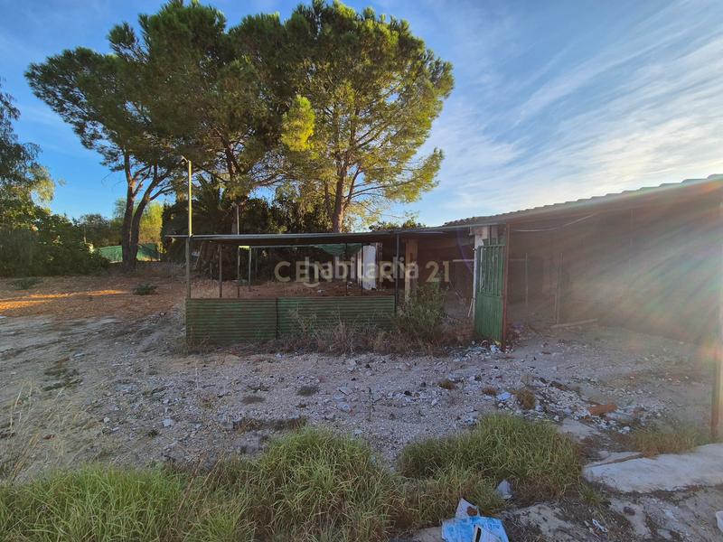 Foto 704f3dc0-888f-4375-a7e3-03cc660ac086. Casa a marchuquera-bases a Palma de Gandía