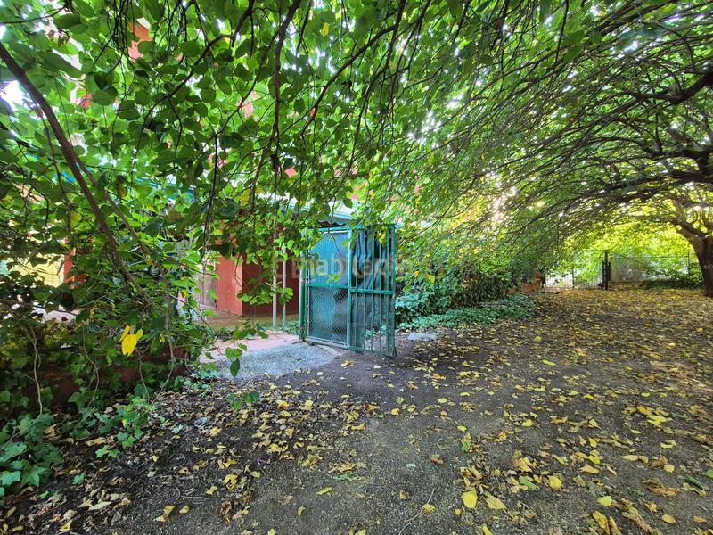 Foto 93e24fbe-cb5a-4828-b546-81383ef72f5d. Casa a marchuquera-bases a Palma de Gandía