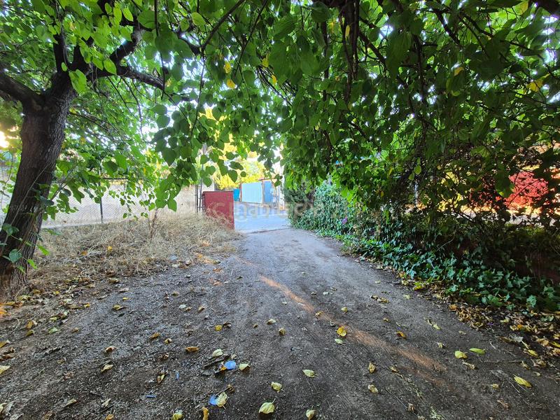 Foto d2d83d71-5b27-4254-94cc-81f9613a4229. Casa a marchuquera-bases a Palma de Gandía