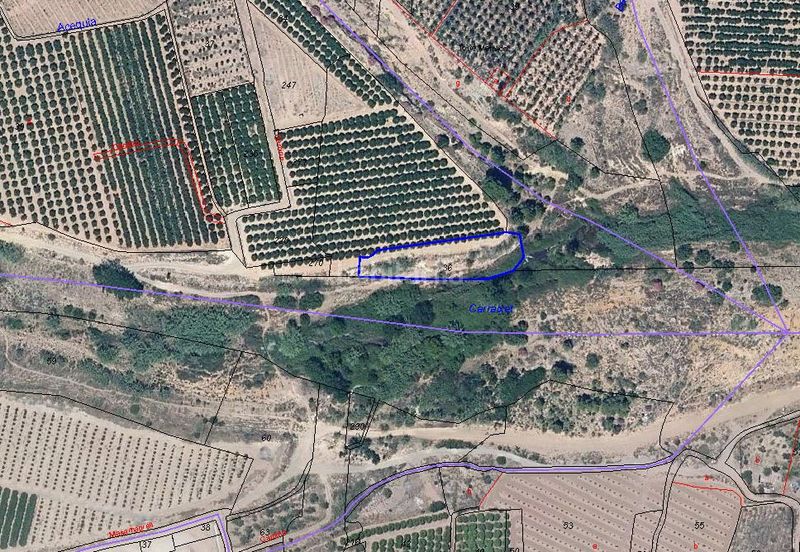 Foto f6f92691-1585-4971-a125-ba1ce415091f. Finca rústica en polígono 87 parcela 36 impresionante propiedad , valencia en Bétera