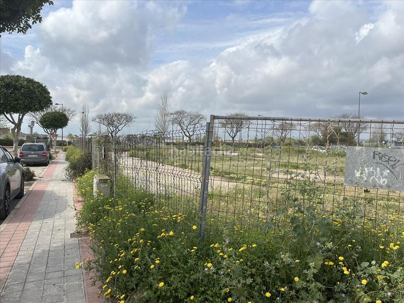 Foto cbb663a4-7c30-463a-9d28-71b139511329. Residential plot in rector peset aleixandre in Albal