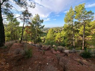 Terreno residencial en 46118 serra, spain. Impresionantes terrenos de 5.025 m2 en serra, valència con vista