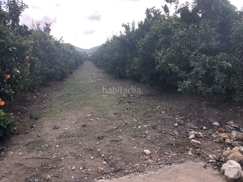 Foto 5b378a4a-4e20-4a65-a517-79c10d090f04. Finca rústica a paraje embastida o bastida a Xàtiva