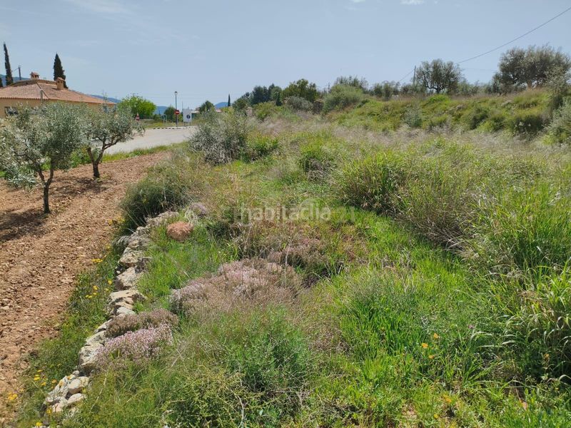 Foto 5f1017bd-6f52-4ef7-b5ab-625551b21d47. Finca rústica a 46175 Calles a Calles