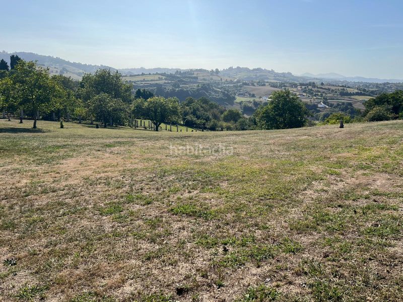 Foto 1c9f578f-f18b-4b89-b3af-48a1094d970e. Terreny residencial a Porceyo Gijón