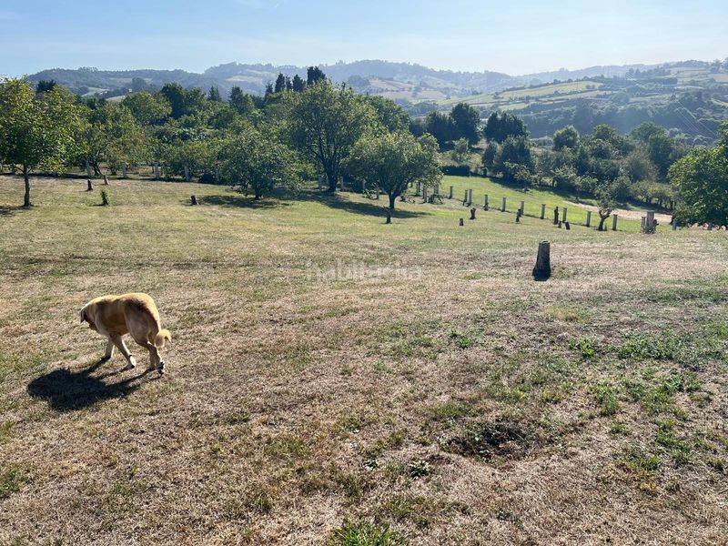 Foto d8c09c9d-29b9-44d2-88b4-ab76de937ab0. Terreny residencial a Porceyo Gijón