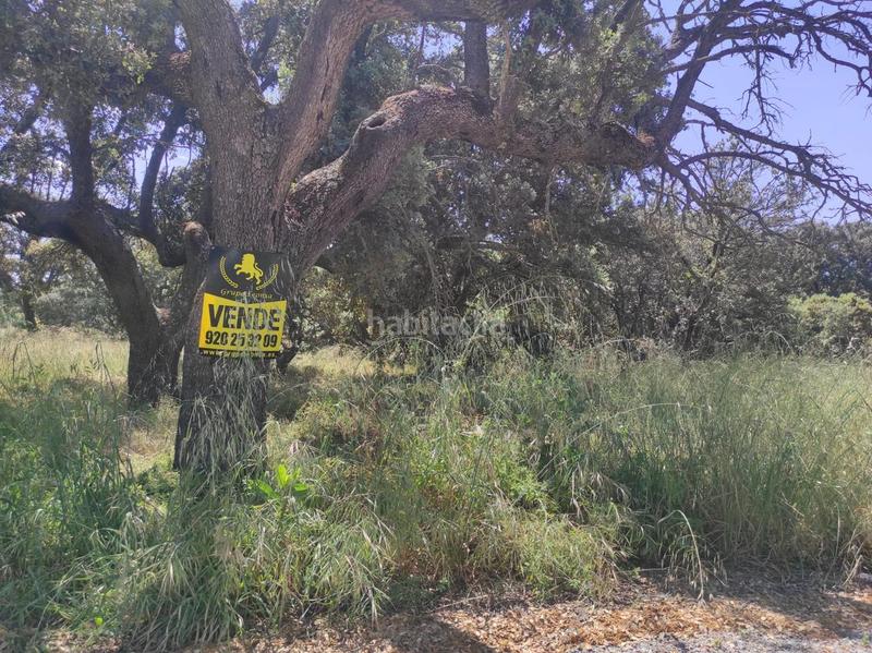 Foto cf7f4036-ddca-495d-aada-d1bcedf181f4. Terreno residenziale in Maello