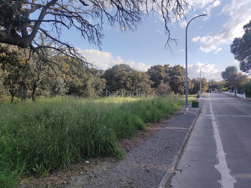 Foto e583a195-bc19-4bcc-9e70-bc4d67ce9e17. Terreno residenziale in Maello