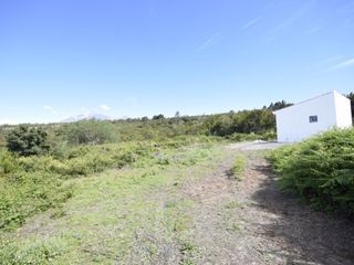 Maison  Pista la cancela. Dos fincas rústicas en venta en el tanque tenerife.