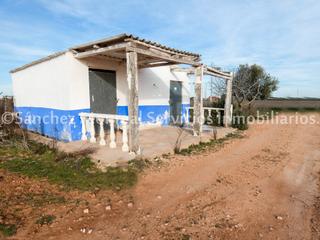 Finca rústica  Avenida de las encinas