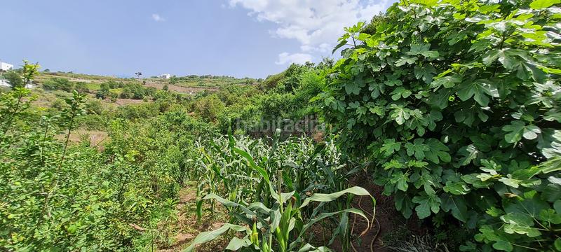 Foto 242da964-f6be-414e-aaaa-6fd4df3f9eca. Masia a La Vega - El Amparo - Cueva del Viento Icod de los Vinos