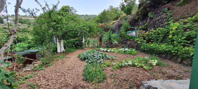 Foto 26bdb414-b0b1-4f98-a2d1-4675c0f809d7. Masia a La Vega - El Amparo - Cueva del Viento Icod de los Vinos
