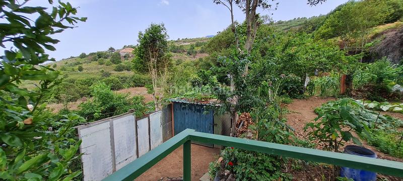 Foto 2aa55550-4b43-4d4e-a88f-33652494ed45. Masia a La Vega - El Amparo - Cueva del Viento Icod de los Vinos