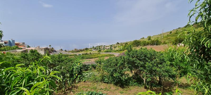 Foto 34adf429-1264-4224-9be3-504a17f70570. Masia a La Vega - El Amparo - Cueva del Viento Icod de los Vinos