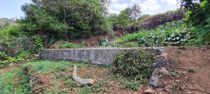 Foto 7212bd26-364f-4904-bade-97036ffd19cb. Masia a La Vega - El Amparo - Cueva del Viento Icod de los Vinos