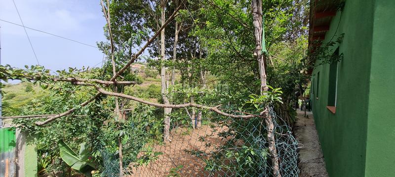 Foto f8c727fd-fd3d-4699-af52-89e000636725. Masia a La Vega - El Amparo - Cueva del Viento Icod de los Vinos