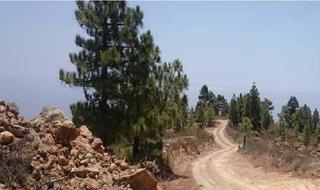 Finca rústica en Arico. Terreno en arico