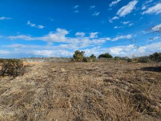 Finca rústica a San Felipe - San Marcos - Las Cañas