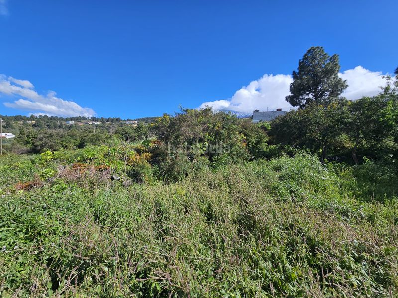 Foto e0142db1-e1e0-4d47-bf5d-c43b8d0ded95. Finca rústica a La Vega - El Amparo - Cueva del Viento Icod de los Vinos