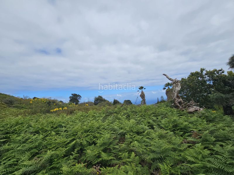 Foto 2c292320-d01f-4ef4-ae74-b01f173bce64. Finca rústica a Tanque (El)