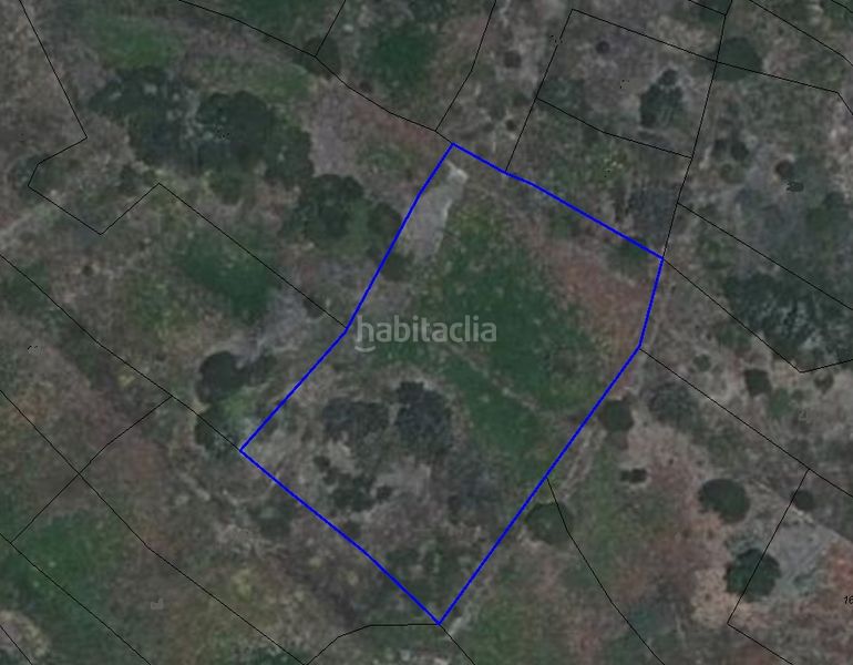 Foto 37e07f02-1790-4a98-83e2-33e47fb0a6cd. Finca rústica a Tanque (El)