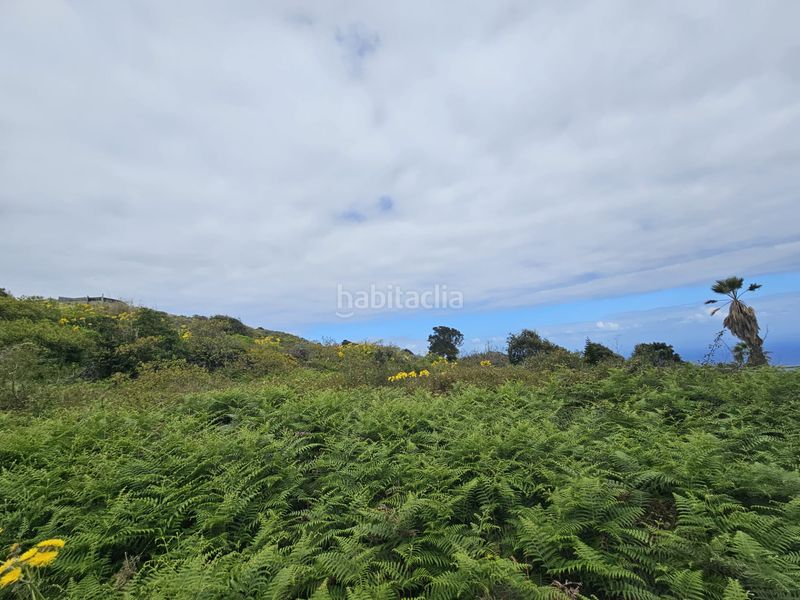 Foto 3c2d6468-267a-459f-8fe8-f5c674d7e9c4. Finca rústica a Tanque (El)