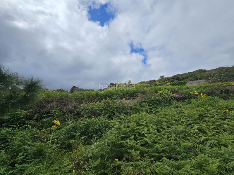 Foto 486857f7-8320-4132-9483-7dabddc50a3f. Finca rústica a Tanque (El)