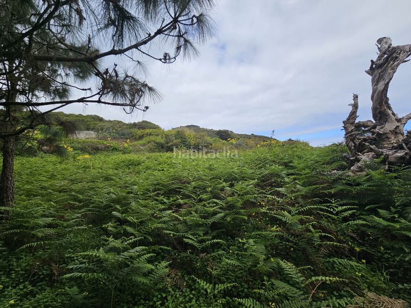 Foto 678cb45e-690e-4292-bacb-c0ee5f36761c. Finca rústica a Tanque (El)