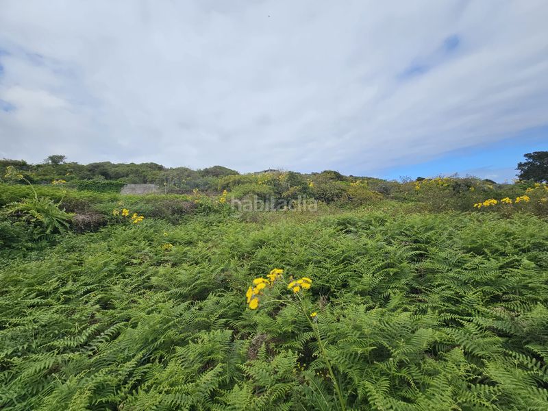 Foto df4a12db-9bbb-4480-be1d-8d1bdb078767. Finca rústica a Tanque (El)