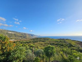 Masia a San Felipe - San Marcos - Las Cañas. Finca rustica en la costa de icod de los vinos