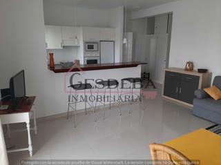 Location Appartement  Calle agustin espinosa