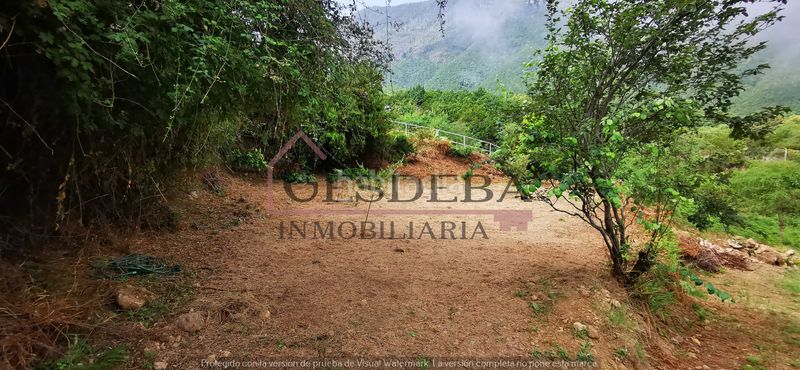 Foto 350072a6-3e61-48a1-a367-b3a592f14020. Finca rústica a camino lomo de la viuda 56 a Palo Blanco Realejos (Los)