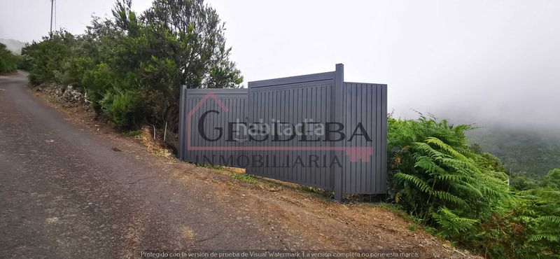 Foto 3b0f7ea4-523d-4904-8e40-a11ce93886ee. Finca rústica a camino lomo de la viuda 56 a Palo Blanco Realejos (Los)