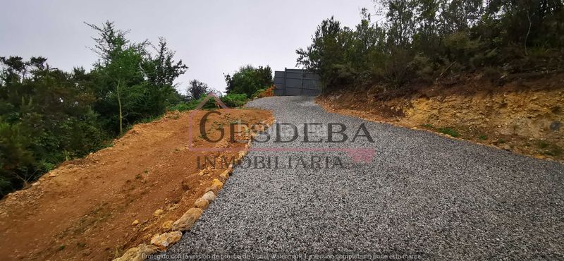 Foto 431eb6e3-577e-4826-ba5d-c899809d48c4. Finca rústica a camino lomo de la viuda 56 a Palo Blanco Realejos (Los)