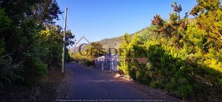 Finca rústica a Camino lomo de la viuda 56. Finca con cuarto de aperos los realejos