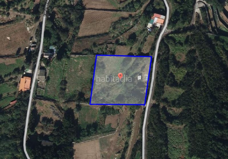 Foto cfedae84-8698-489c-b8c2-9eeaef9381db. Finca rústica a camino lomo de la viuda 56 a Palo Blanco Realejos (Los)