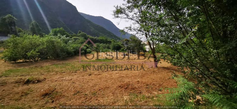 Foto f637f536-0e0e-4037-b77b-f6273ab2b71e. Finca rústica a camino lomo de la viuda 56 a Palo Blanco Realejos (Los)