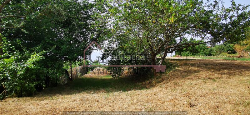 Foto f9fe4651-bf7c-4495-b561-ee10d873d110. Finca rústica a camino lomo de la viuda 56 a Palo Blanco Realejos (Los)