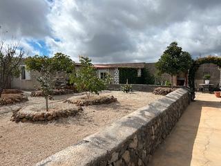 Finca rústica a Granadilla de Abona ciudad. Finca en granadilla con arboles frutales y una casita pequeña