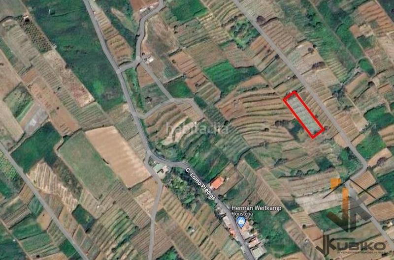 Foto 49cfcfef-f2ca-4f95-b384-3ddd0d425c00. Finca rústica terreno rústico en ravelo el sauzal en Sauzal (El)
