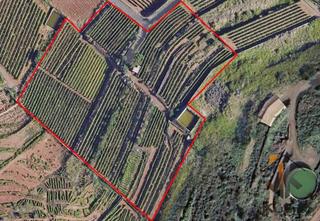 Residential Plot en Sauzal (El). Finca en las riquelas el sauzal