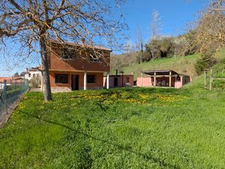 House in Calle ollerías 10a. Casa con 450 m2 de terreno.