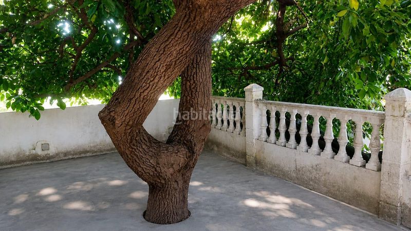 Foto cfc0e85e-8e40-4022-b33e-e4540697ff8f. Casa a Teror pueblo Teror