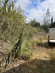 Wohngrundstück in Polígono 9 paraje 150 mondalon 520