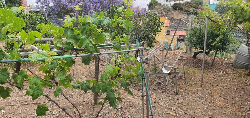 Foto 0df46dfd-3026-4050-8fe0-da6a38e65fc8. Finca rústica a Las Mesas - El Toscón Palmas de Gran Canaria (Las)