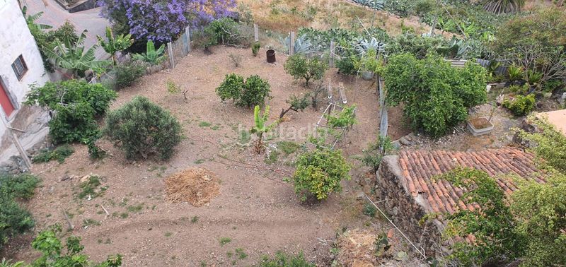 Foto 528bb618-3bdd-4e04-9b8a-f09dc6745fa9. Finca rústica a Las Mesas - El Toscón Palmas de Gran Canaria (Las)